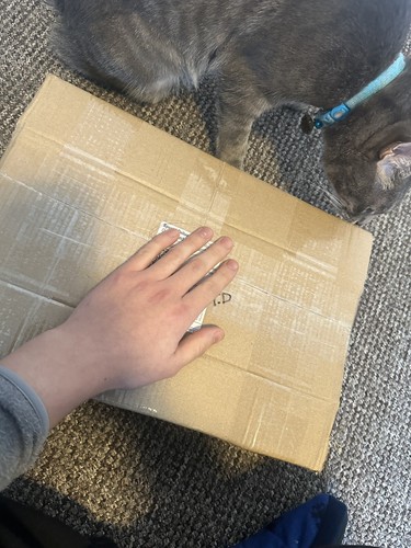 Item photo(s) from verified buyer