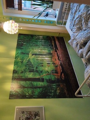 Foto dell'oggetto di un acquirente verificato