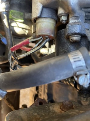 Foto dell'oggetto di un acquirente verificato