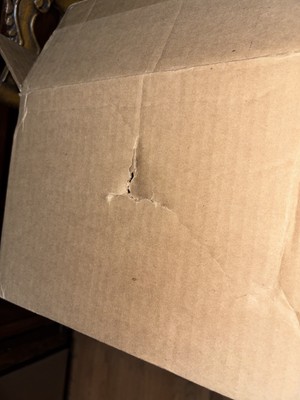 Item photo(s) from verified buyer