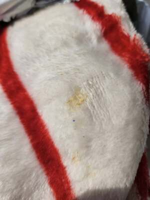 Item photo(s) from verified buyer