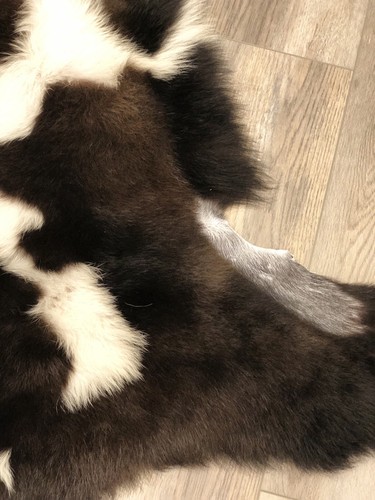 Genuine Spotted Sheepskin Rug Throw – shade of brown Super Fluffy And Cute Lamb