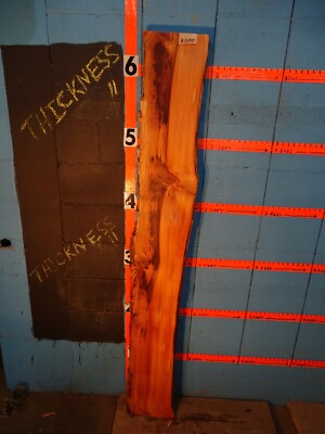 A1690    2 1/16'' THICK  tamarack larch Live Edge Slab shelf table KILN DRIED