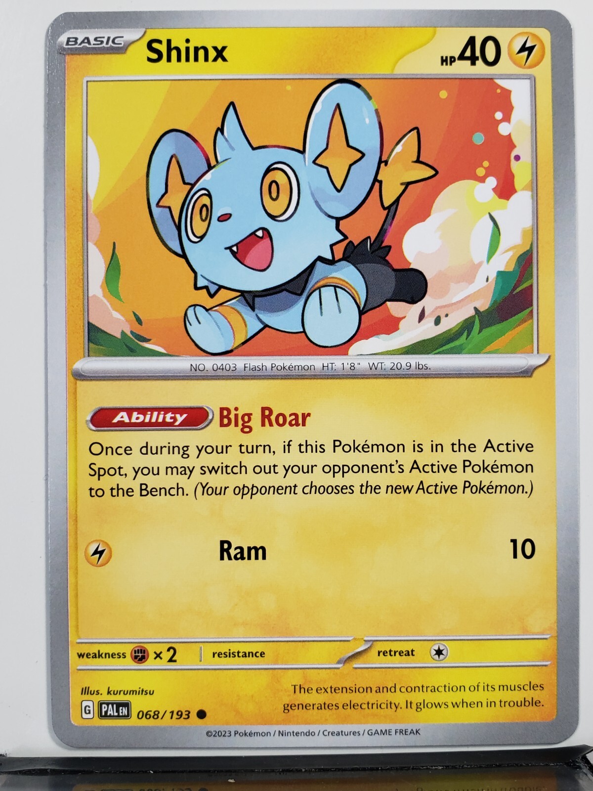 Shinx 068/193 NM / M Kurumitsu Art - Paldea Evolved Scarlet