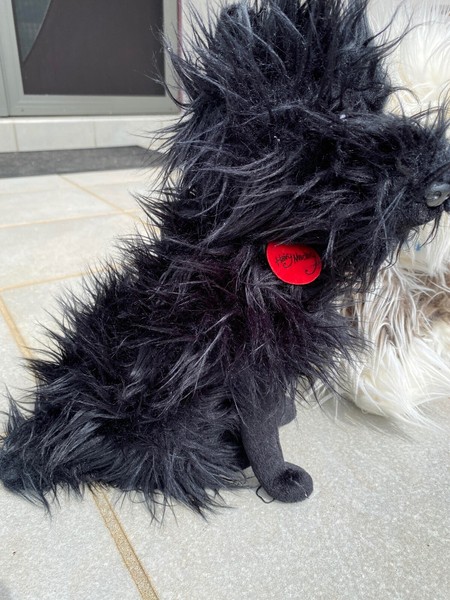 hairy maclary plush toy