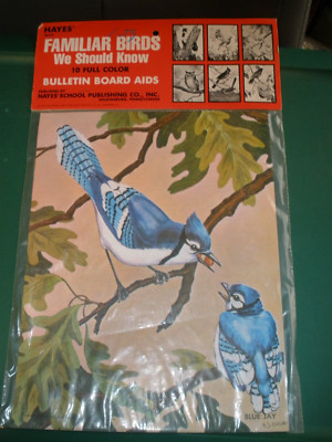 NEW Vintage Hayes Bulletin Board Aids 1988 FAMILIAR BIRDS WE SHOULD KNOW