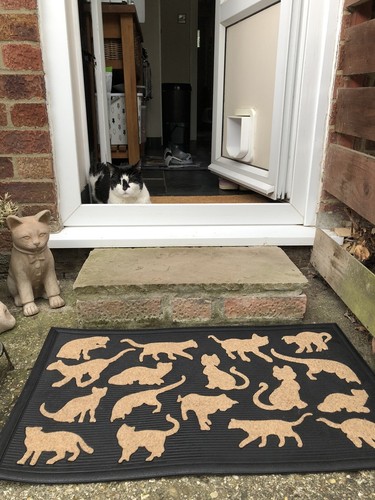 Artikelfoto(s) von einem verifizierten Käufer