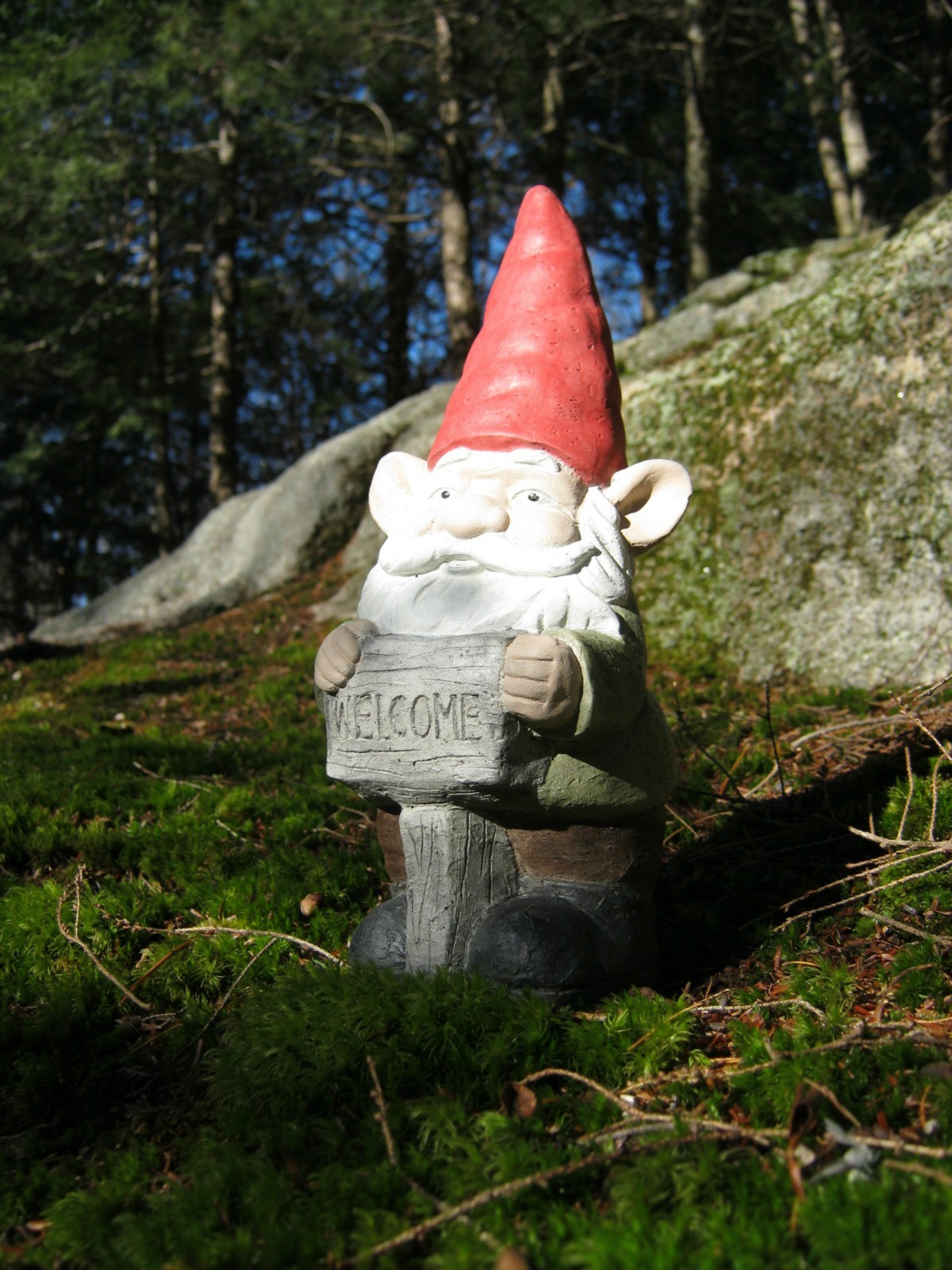 Welcome Garden Gnome 