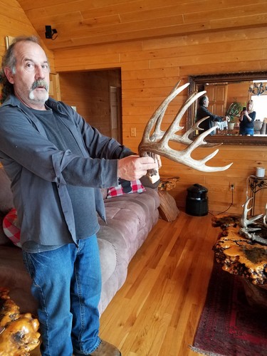 14 point whitetail deer antlers