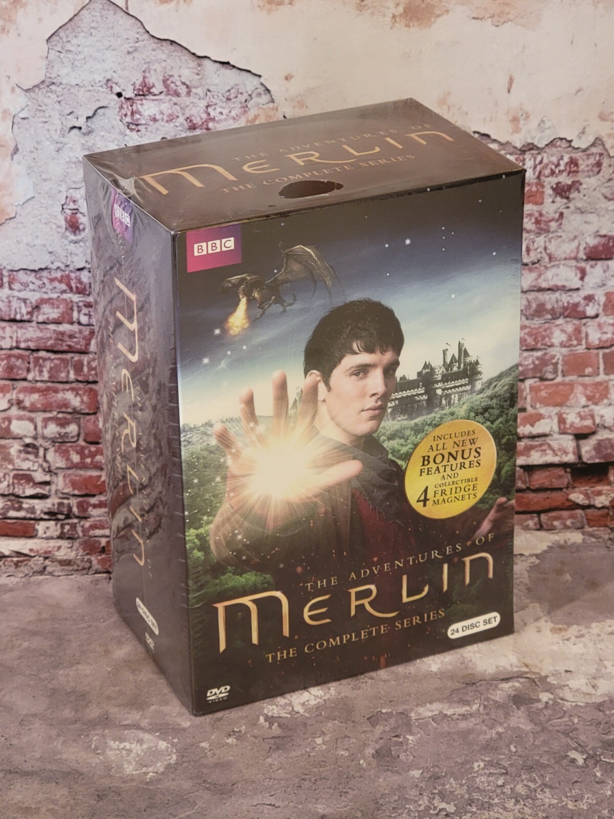 DVD マルティン・シュリーク ガーデン