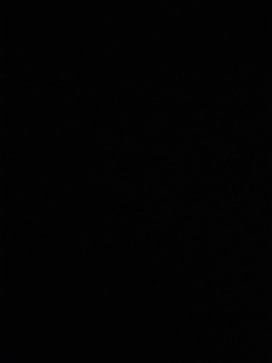 Photos de l'objet d'un acheteur vérifié