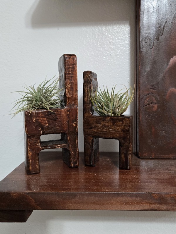 air plant holder stand