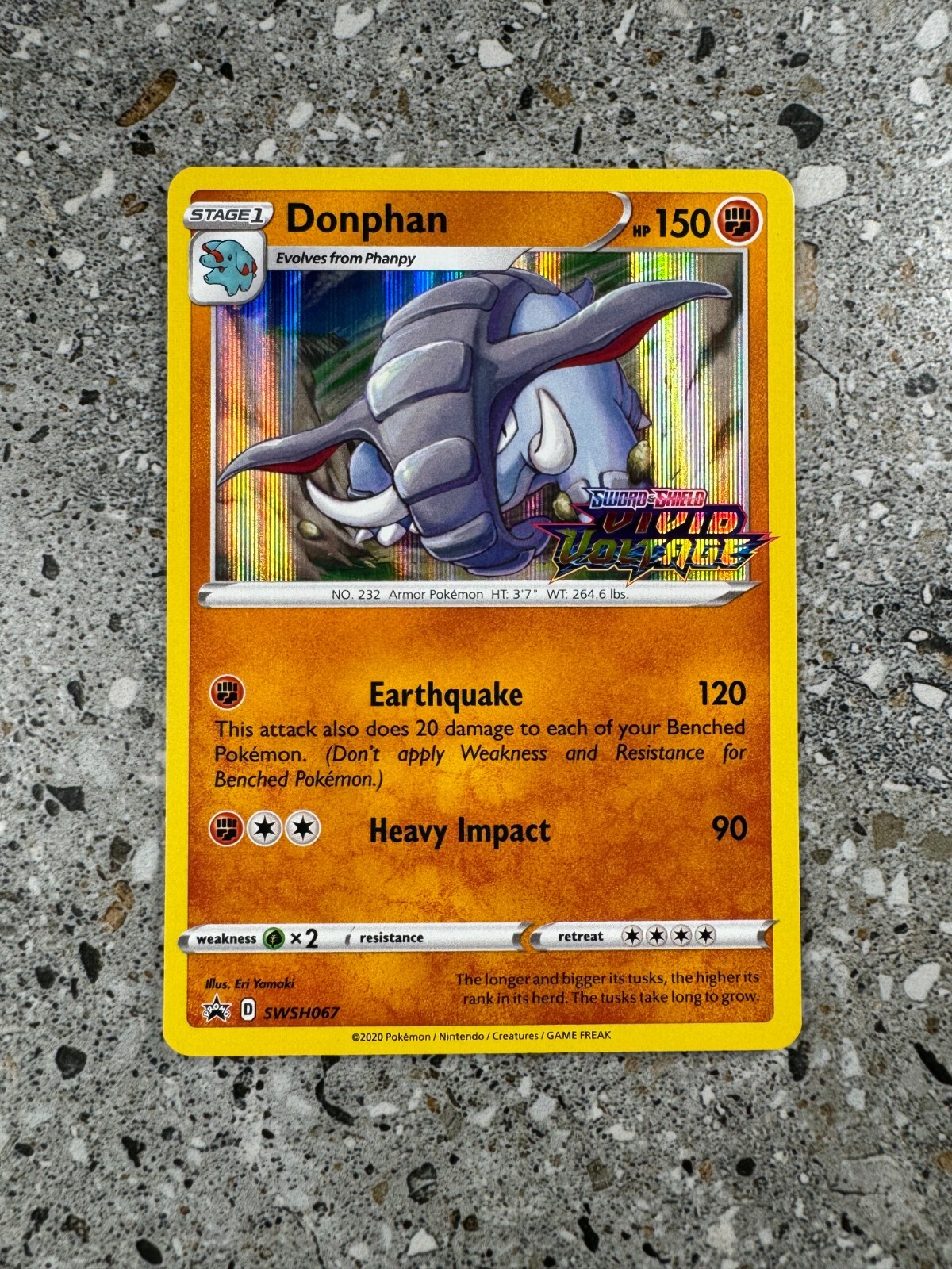 世界38枚 PSA10 ドンファン donphan カードe 2002 43 世界38枚 PSA10 ドンファン donphan カードe 2002 43 - メルカリ