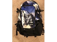 supreme north face backpack stockx