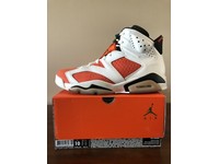 jordan 6 size 10