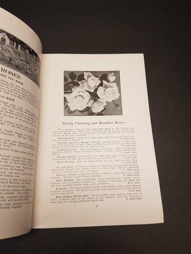 1930 Mitchell Nurseries Barre Vermont Catalog and Price List - Illustrated