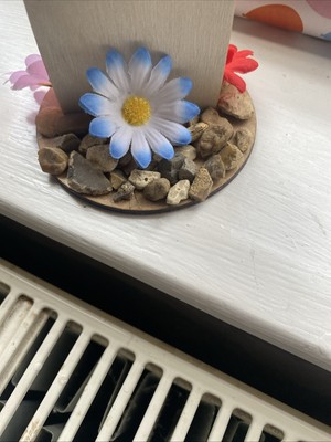 Fotos del artículo de un comprador verificado