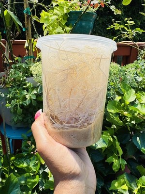 Photos de l'objet d'un acheteur vérifié