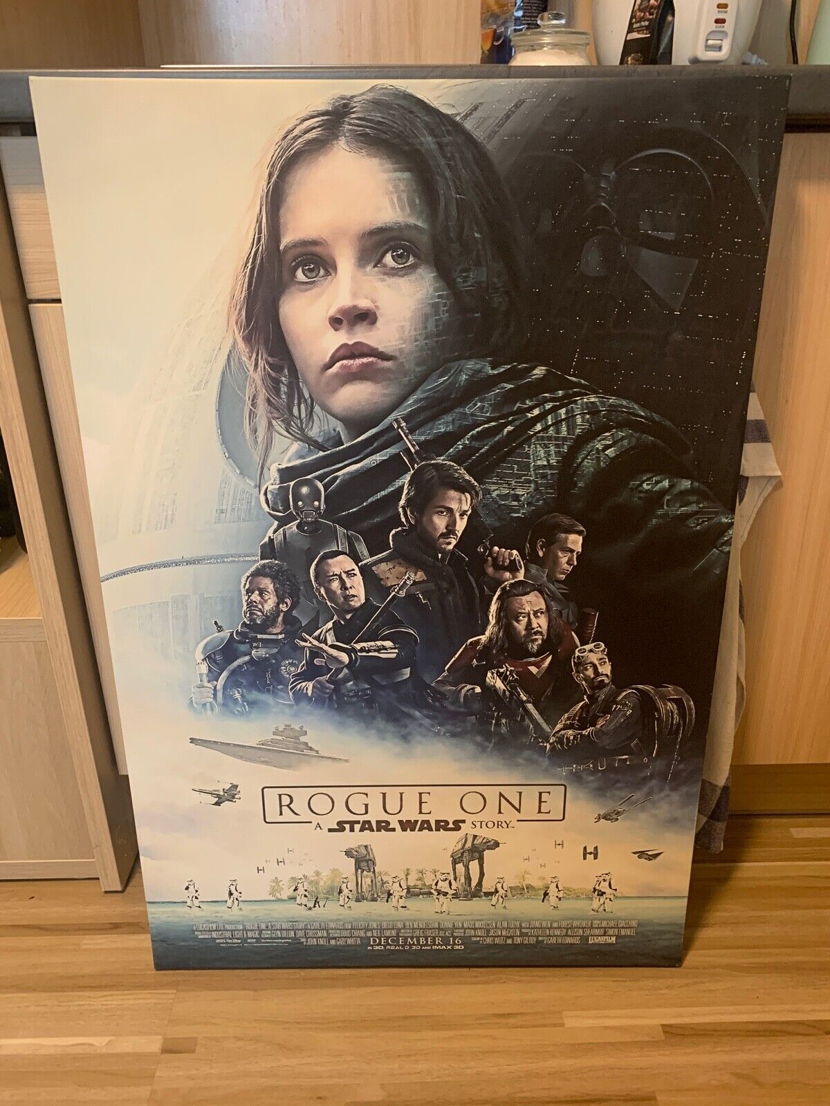 Star Wars Rogue One Leinwand