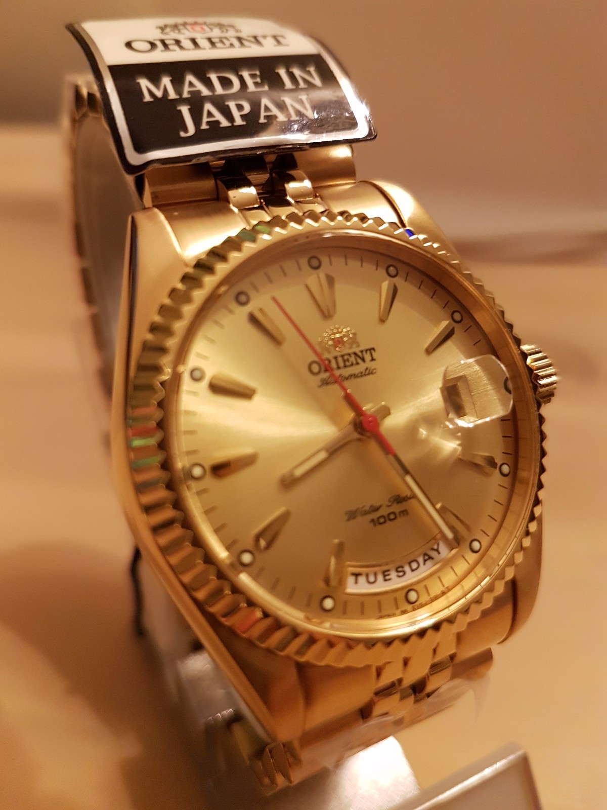 orient president oyster