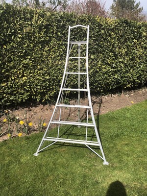 ladder