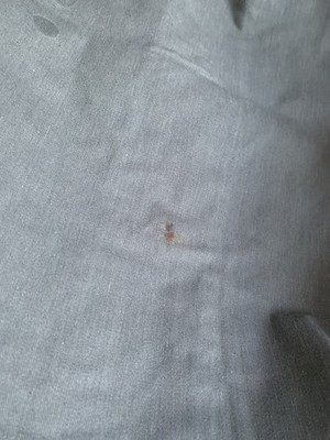 經驗證買家提供的物品圖片