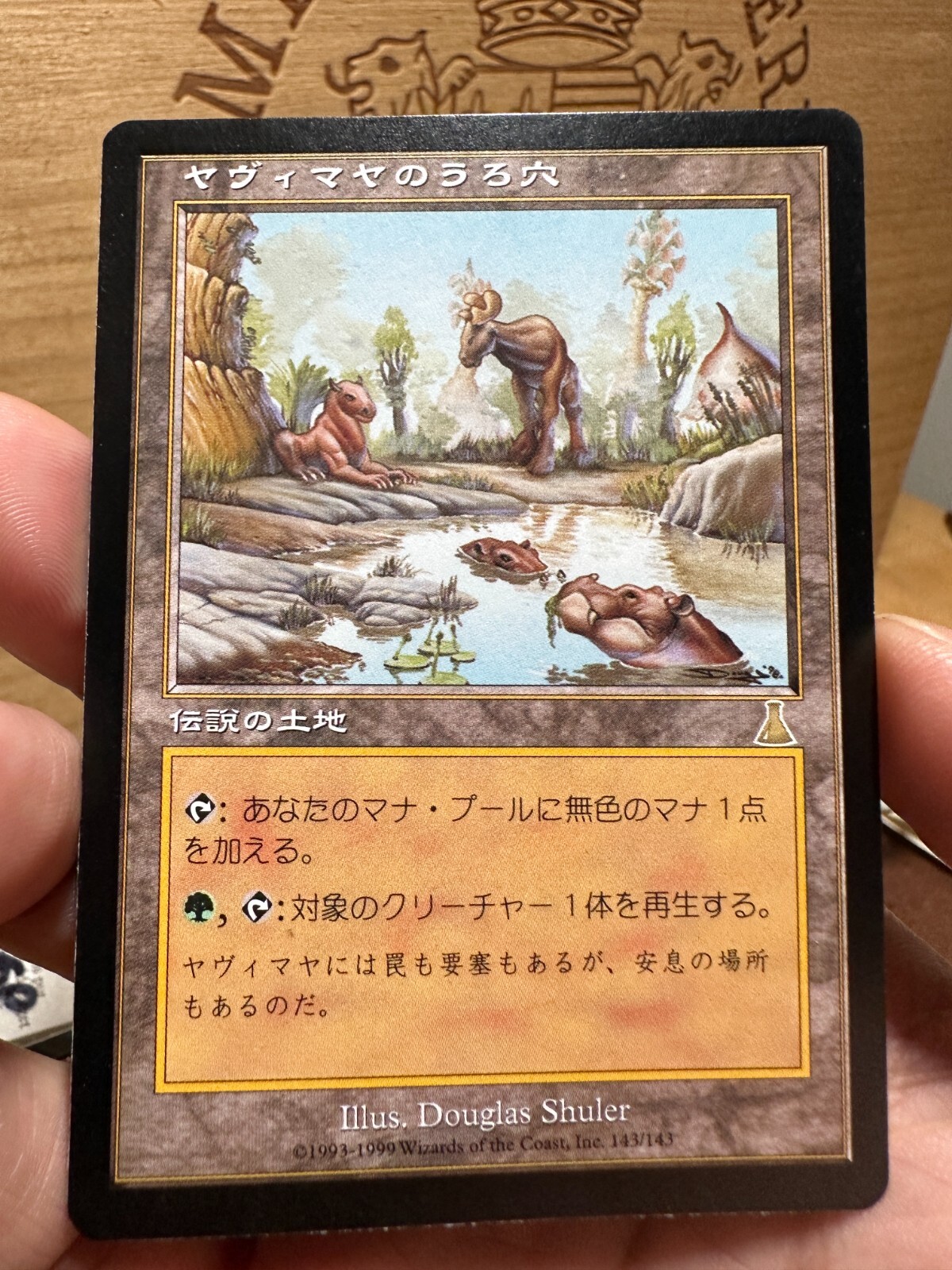 MTG 英語 Yavimaya hollow Amazon.com: Yavimaya Hollow : Toys & Games