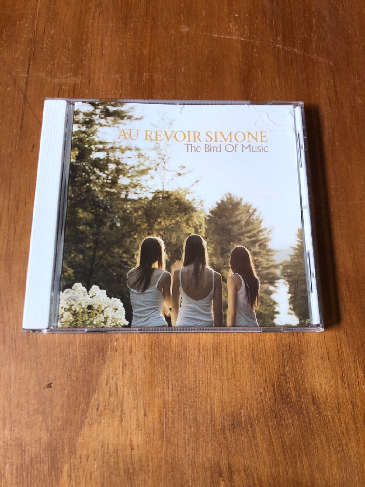 AU REVOIR SIMONE The Bird Of Music レコード Ny5qcGVn.jpeg