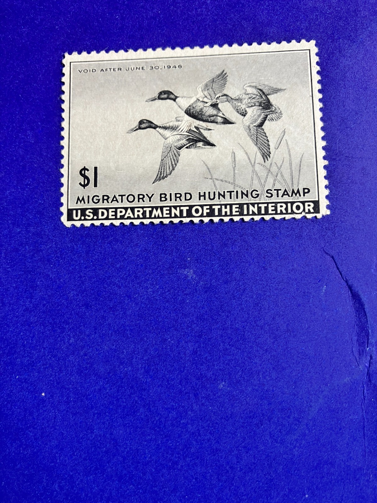 切手12 RW12 1945 - US Federal Duck Stamp - Mint OG NH | eBay