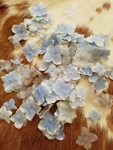 Pale Blue Scrapbook Flower Petal Embellishments Floral