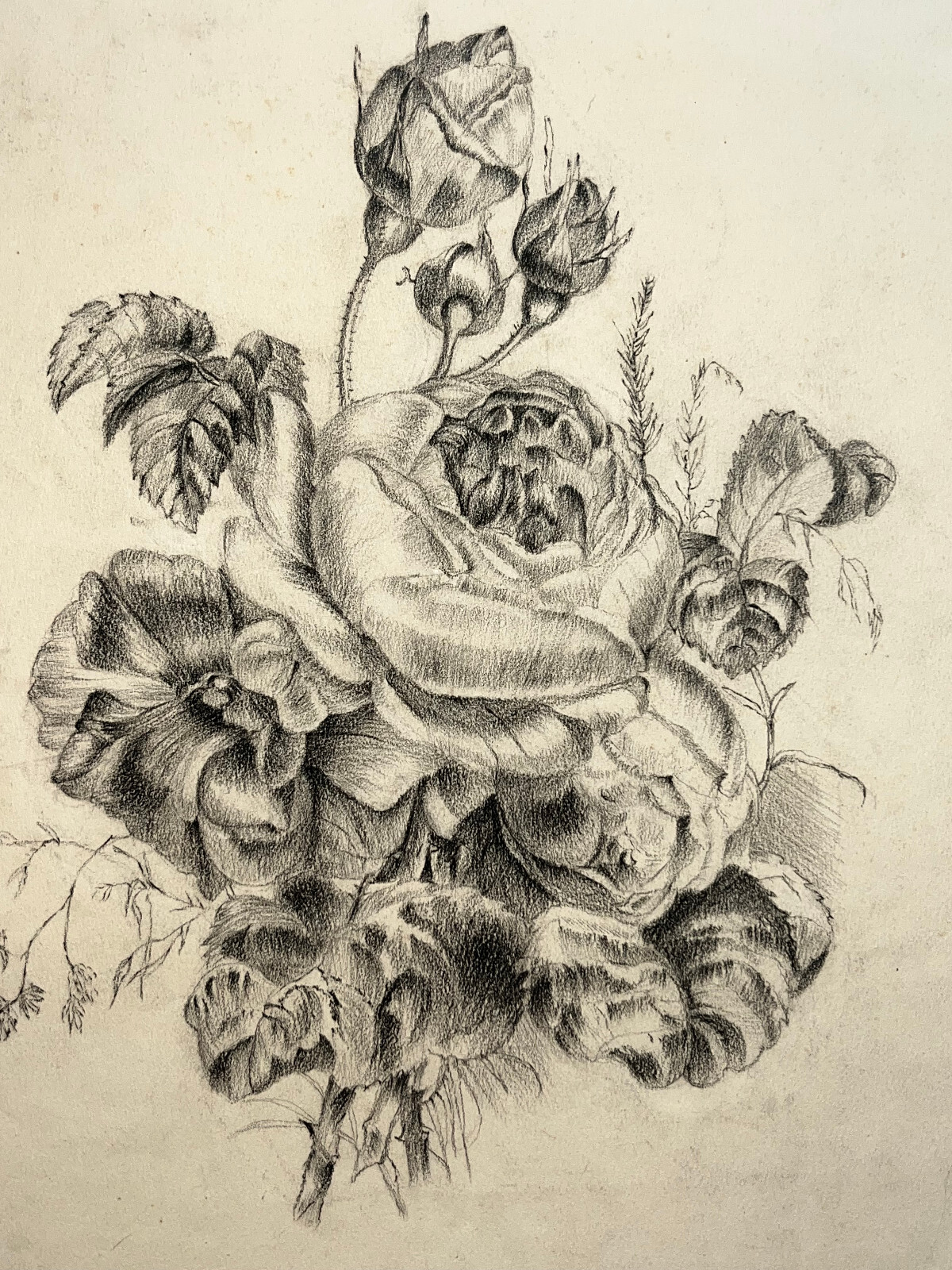 BOTANICAL ART 【import品】 Flowers Botanical ORIGINAL Drawing Flower 35x26cm 19th | eBay