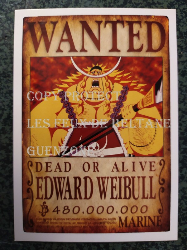 Edward Weibull   One Piece  Wanted Marine Carte Postale Postcard   