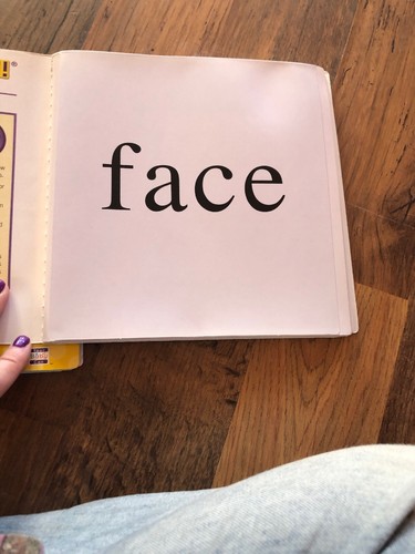 Your Baby Can Read Lift Flap Word & Picture Review Book Early Language System