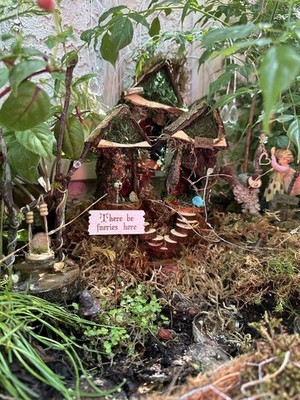 Photos de l'objet d'un acheteur vérifié