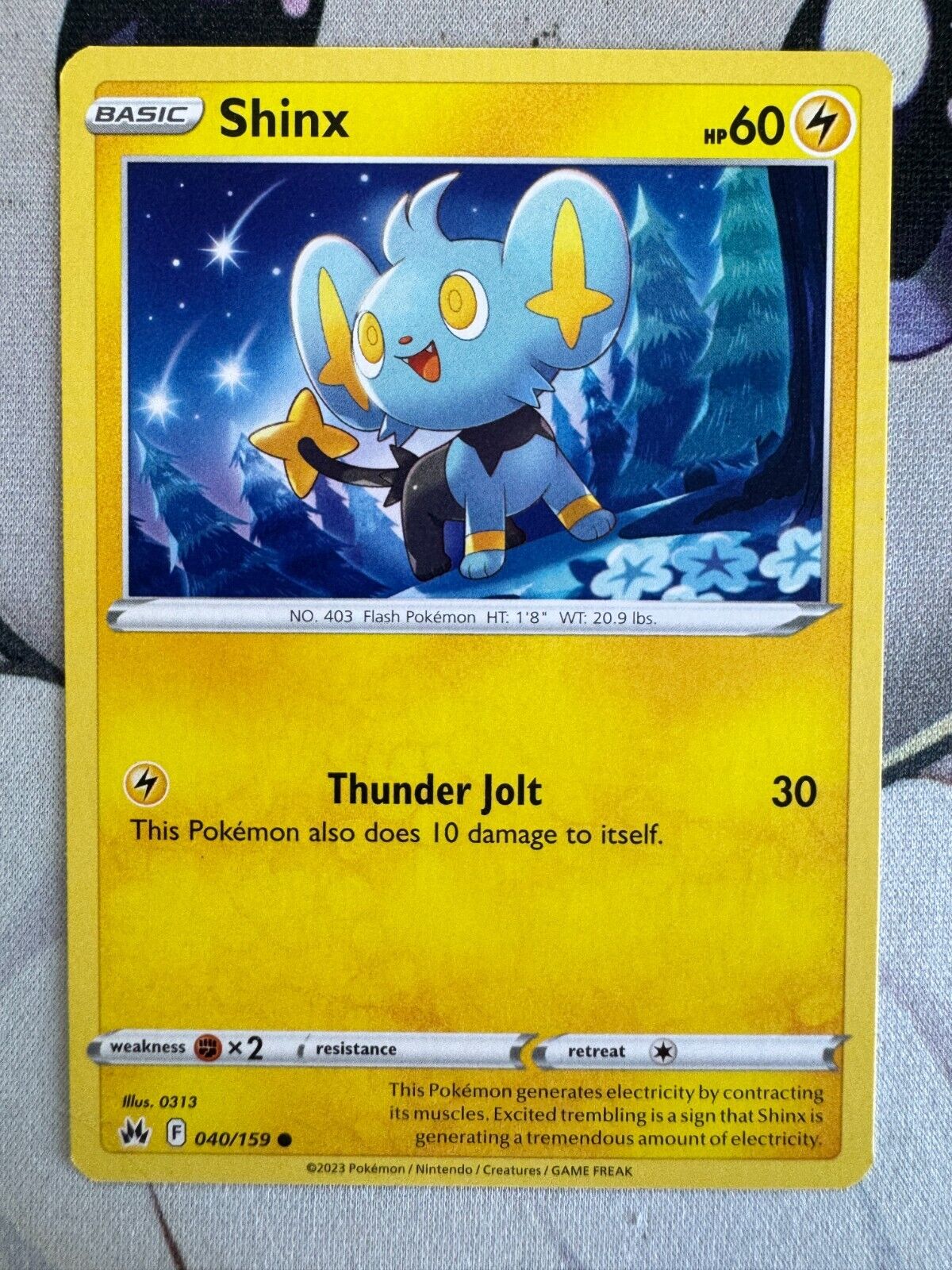 Shinx Non Holo English Pokemon TCG BKAJ650 | eBay Shinx Non Holo English Pokemon TCG BKAJ650 | eBay