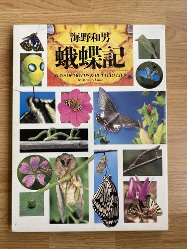 Gachoki (Photo Symbol series): Days of Moths & Butterflies Gachoki (Photo Symbol series): Days of Moths & Butterflies