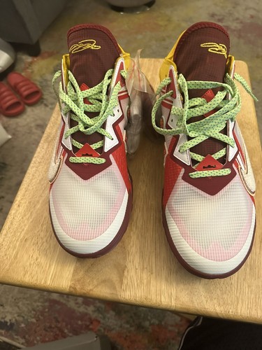 MIMI PLANGE × NIKE LEBRON 18 LOW 28.5 Nike Lebron 18 Low x Mimi Plange Floral Blue Sneakers, Size