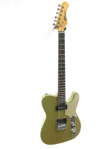 Rare 1965-66 Magnatone Typhoon! | eBay