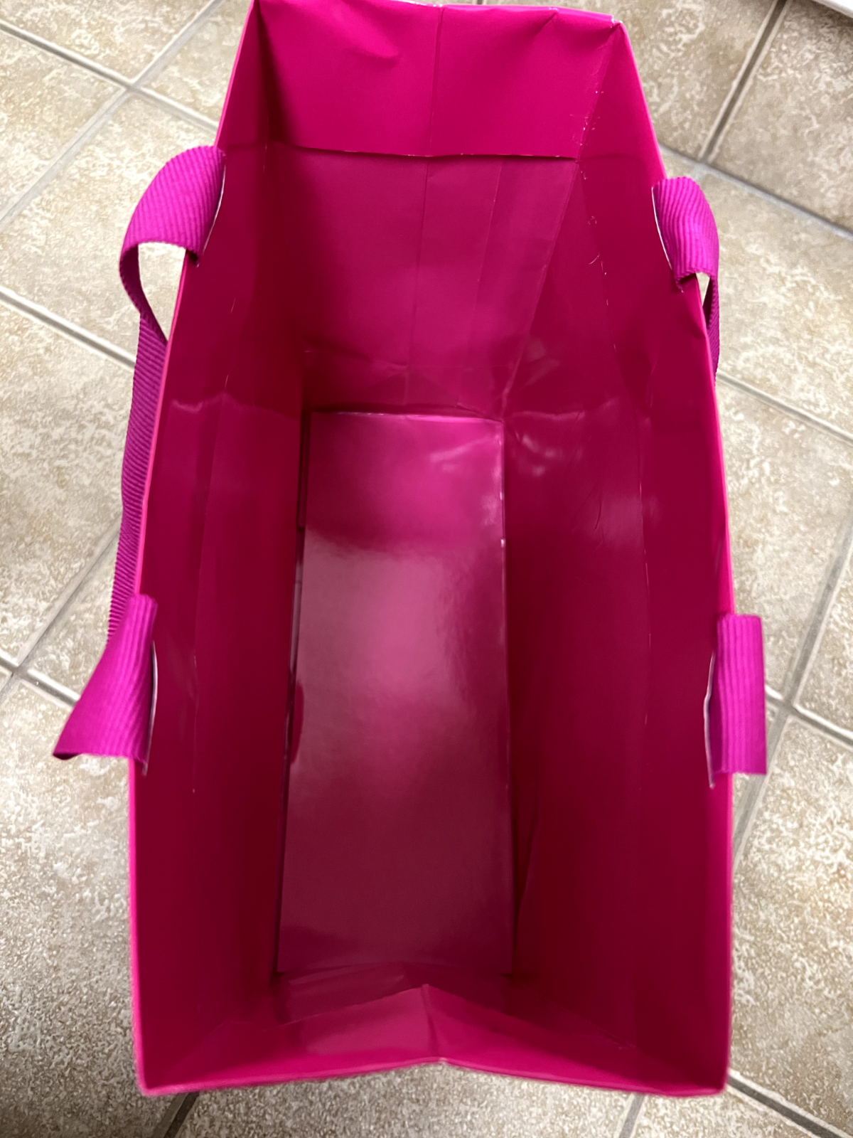VALENTINO Fuchsia Pink Limited Edition Gift Shopping Bag 10" x 8.5" x 4"