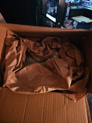 Item photo(s) from verified buyer