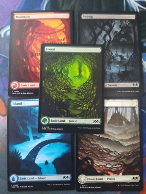 Full Art Borderless Basic Land Set | 7% Off 2+ | Wilds of Eldraine | NM | MTG