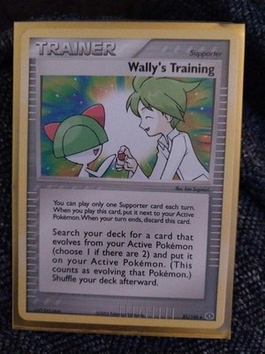 Wally's Training 85/106 Emerald Regular