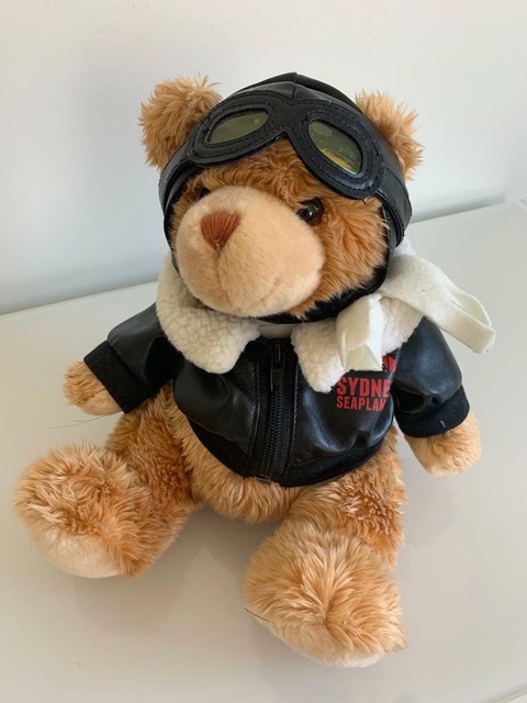 teddy bear pilot outfit