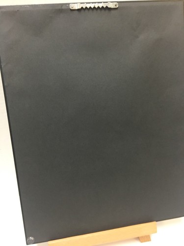 ARIANA GRANDE SIGNED PICTURE COA ORIGINAL AND AUTHENTIC!!!