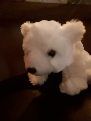 New POLAR BEAR 8 inch Stuffed Animal Plush Toy WHITE | eBay