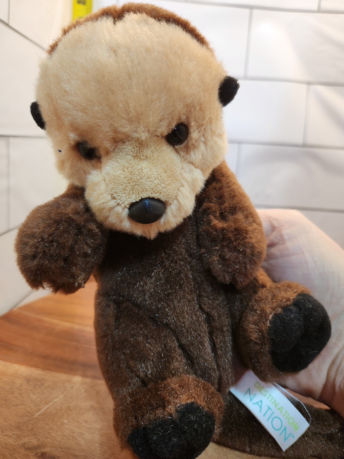 Miyoni Sea Otter Destination Nation  Adventurous Plush Toy Star Stuffed Animal