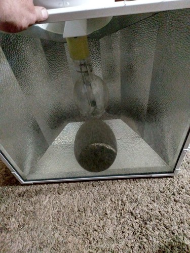SunSystem Blockbuster - 8" Reflector Hood Grow Light  Bulb 1000W Comes W/2 Bulbs