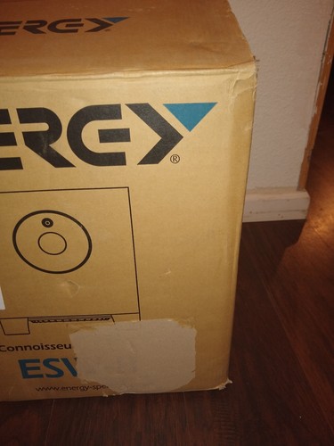 ENERGY ESW-8 POWERED SUBWOOFER