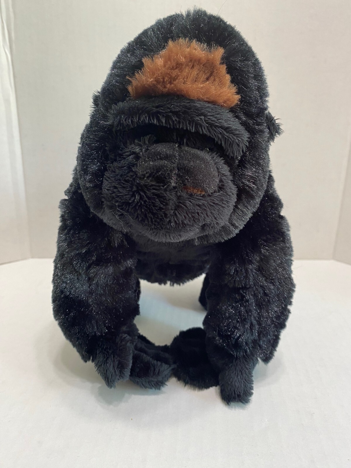 $_57.JPG?set_id=880000500F