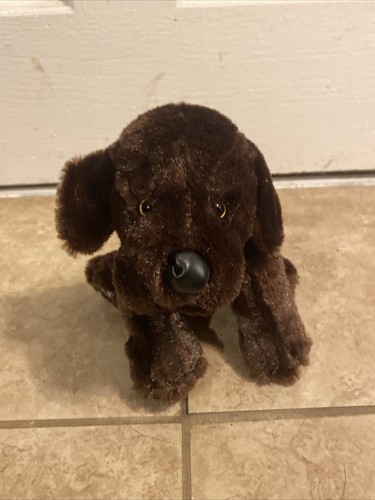 Ganz Webkinz Chocolate Lab Dog 9